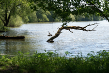 Bild7l